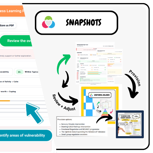 Introduction to Snapshots
