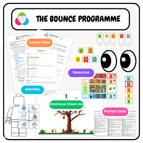 Delivering the BOUNCE Programme